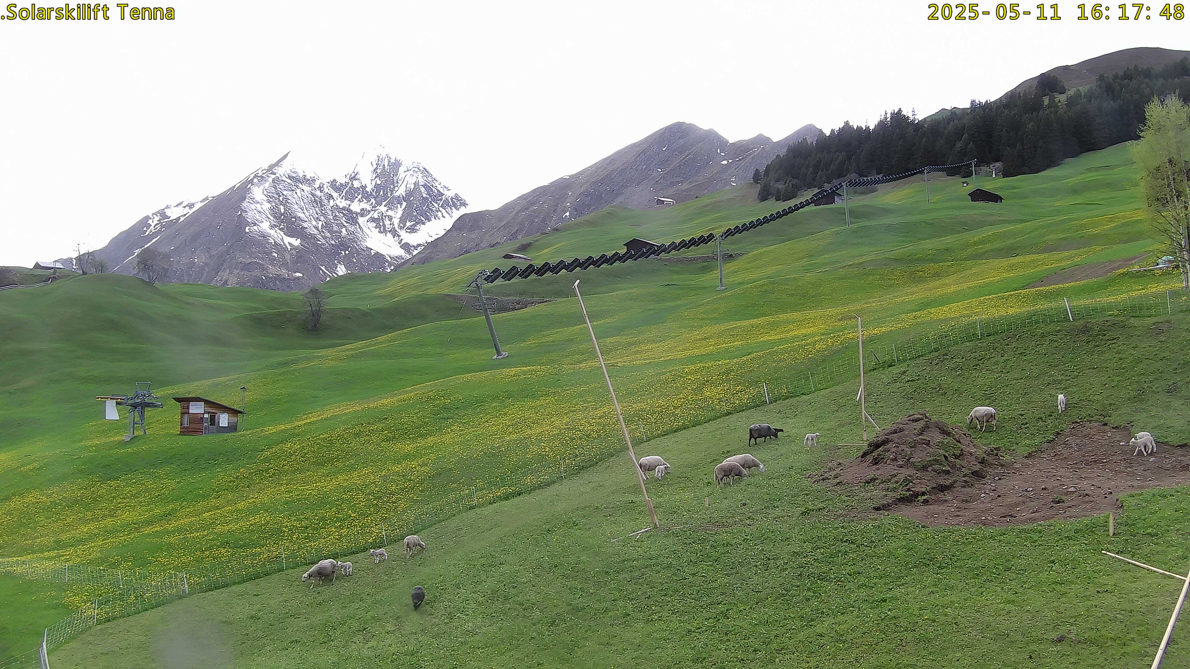 Webcam Solarskilift Tenna